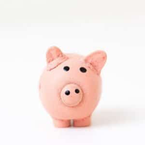 Money Savvy pig