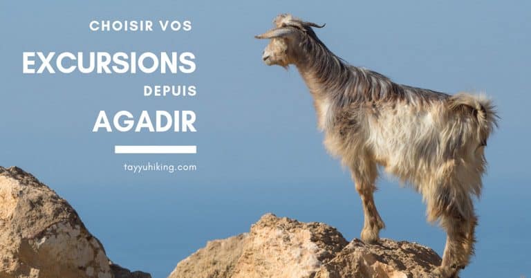 Excursions depuis Agadir